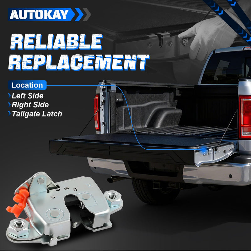 AUTOKAY 65780-0C010 Left and Right Side Tailgate Latch Lock Fit for Toyota Tundra 2000 2001 2002 2003 2004 2005 2006 RE# 65790-0C010 657800C010 657900C010