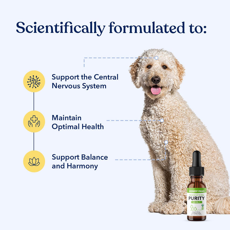 Honest Paws Hemp Oil for Dogs - Natural Hemp Seed Oil Calming Purity Drops for Dogs - Rich in Omega 3 6 9 to Promote Healthy Bones, Joint Support, Relaxation, Managing Normal Stress - Made in The USA