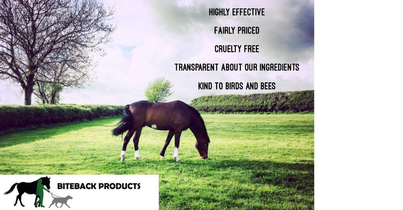 Biteback Products 'Sweet Relief' Midge Barrier and Skin Support Cream for Horses 250g - PawsPlanet Australia