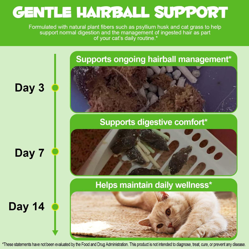 Hairball Treatment for Cats - Natural Hairball Relief Drops with Pumpkin & Aloe, Prevents Vomiting & Supports Digestion, for Kittens & Adult Cats, 2 fl oz (1 PCS) 1 PCS