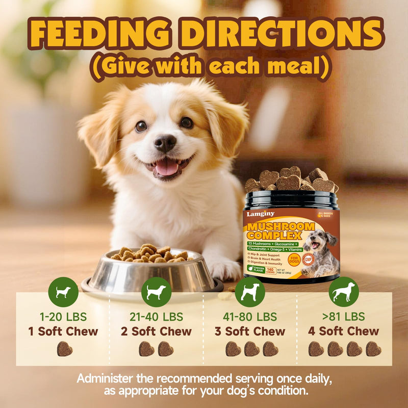 Mushroom Chews for Dogs & L-Lysine Drops for Cats