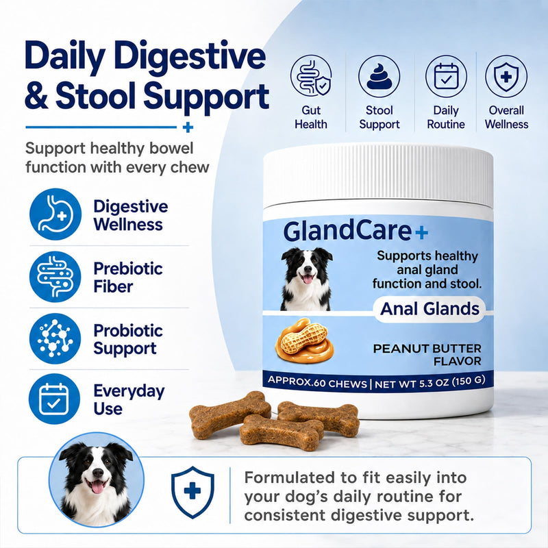 GlandCare+ Anal Gland Chews for Dogs - Pumpkin Seed, Psyllium Husk & Probiotics - Peanut Butter Flavor - Relieves Scooting & Odor - Digestive Health & Stool Support Supplement - 60 Count