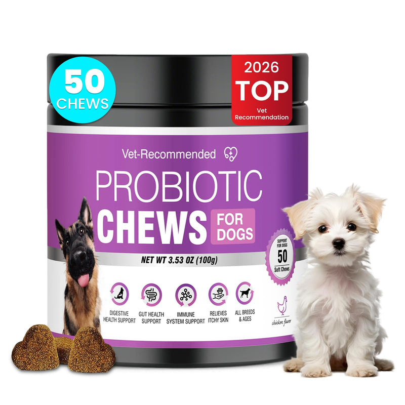 Probiotics for Dogs Dog Probiotics for Digestive Health Gut Health for Dogs Probiotic Dog Chews Probiotics for Dogs Immune Support Chicken Flavor 50ct