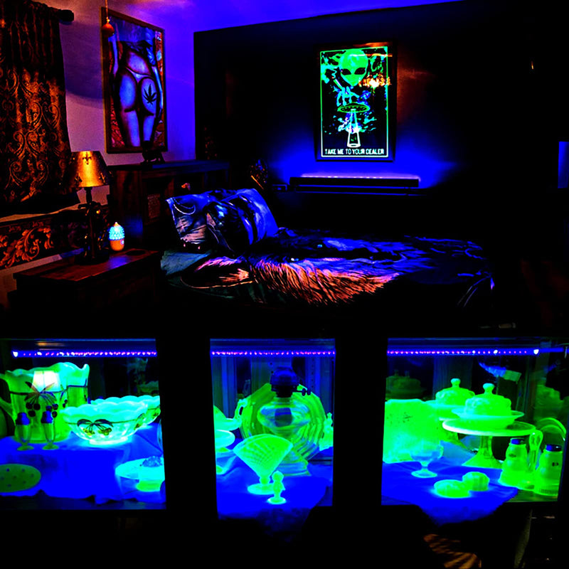 2 Pack 10W 48 LED Black Light Bars 1Ft 395-400nm UV Blacklight Tube with 5.9Ft Cord+Plug+Switch Linkable Black Light Fixtures for Bedroom Fluorescent Poster Body Paint Halloween Glow Party 2Pack
