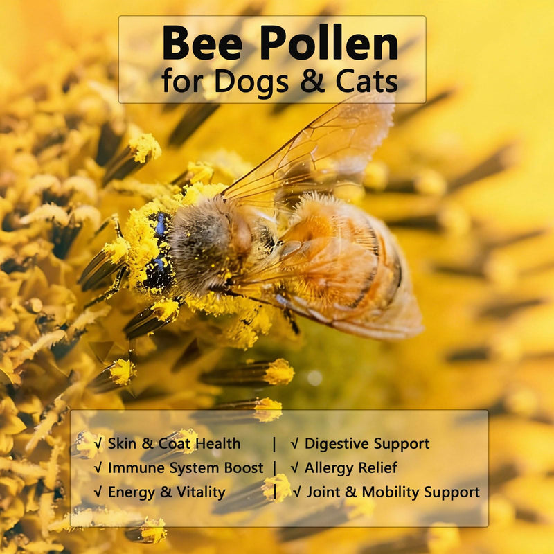 Accretion Bee Pollen for Dogs & Cats, 5oz (Powder), Fine Ground Superfood Powder to Aid Digestion, Enhance Skin Health, Boost Energy and Support Vitality