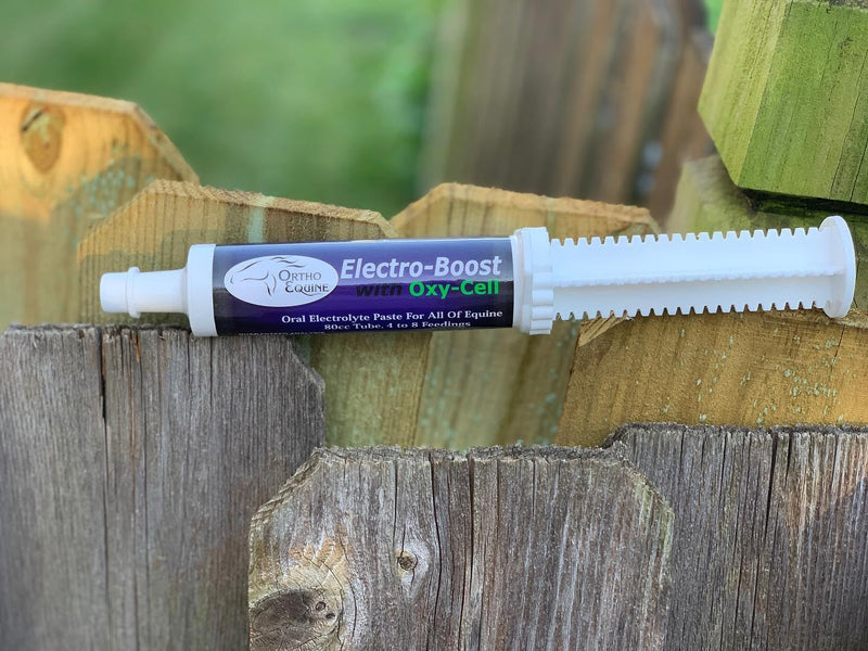 Electro-Boost 80ml Oral Electrolyte Paste with Oxy-Cell – Sugar-Free Energy & Hydration Support for Horses, Improves Stamina, Respiration & Performance