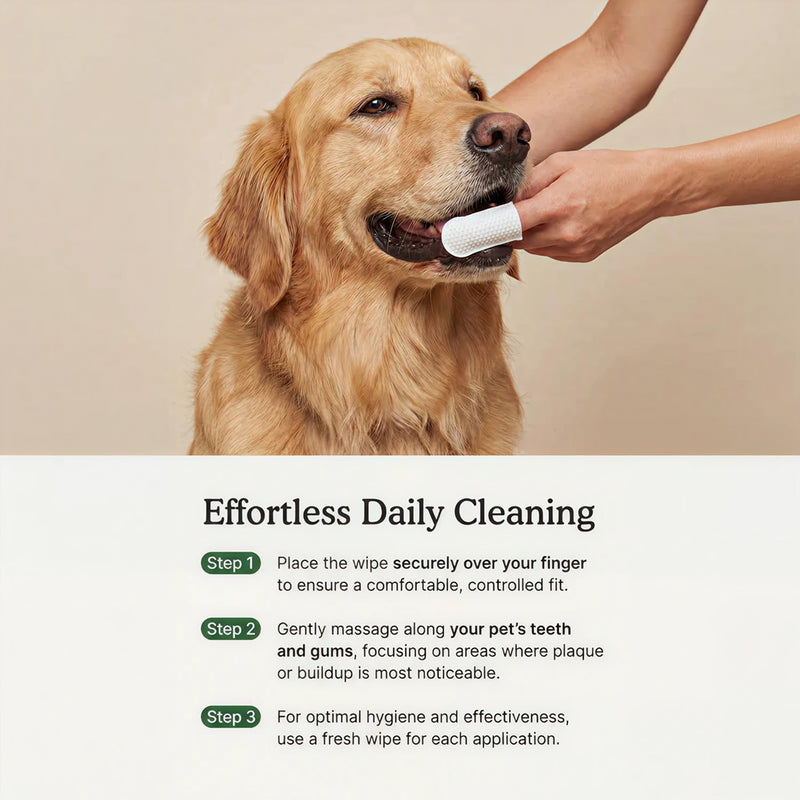 Petscy Dental Finger Wipes for Dogs and Cats – No Brush Teeth Cleaning Wipes for Fresh Breath & Oral Care – Green Tea & Tea Polyphenols – Fragrance-Free Pet Oral Cleansing - 50 Wipes