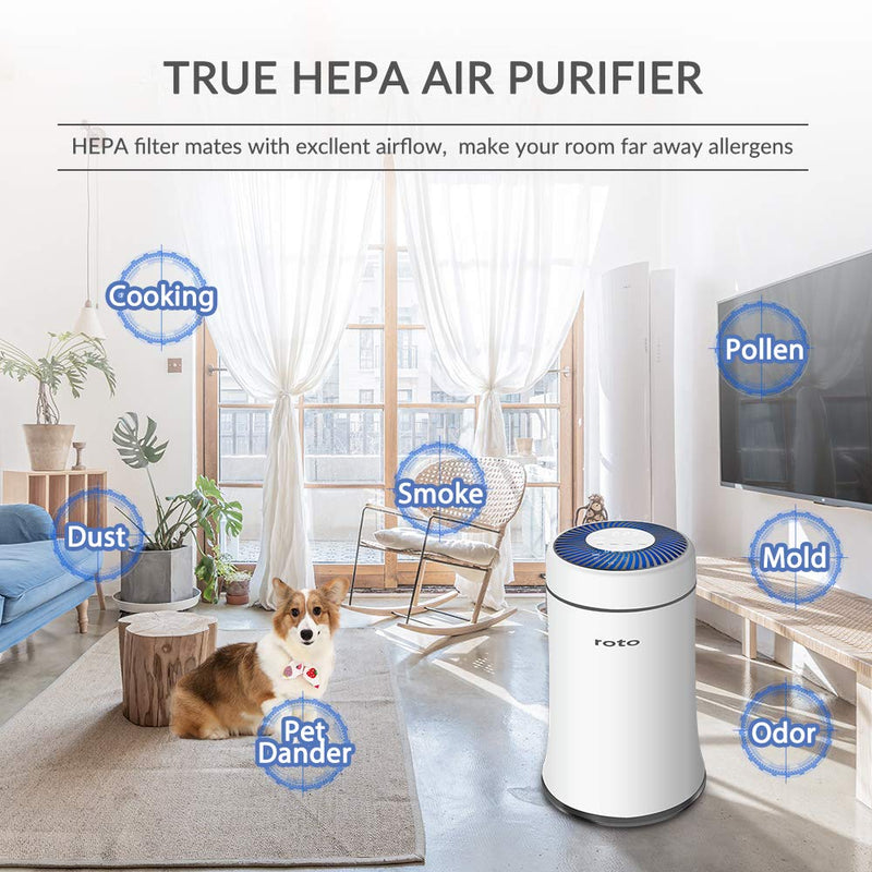 Roto C9 Air Purifier Replacement Filter For Model Verification