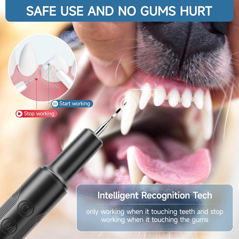 Jellytree Dog Plaque and Tartar Remover,Dogs Teeth Cleaning Kit with Led Light,5 Modes Dog Tooth Plaque Remover, Tooth Cleaner for Dogs and Cats USB Charge,Low Noise Tartar Remover for Teeth