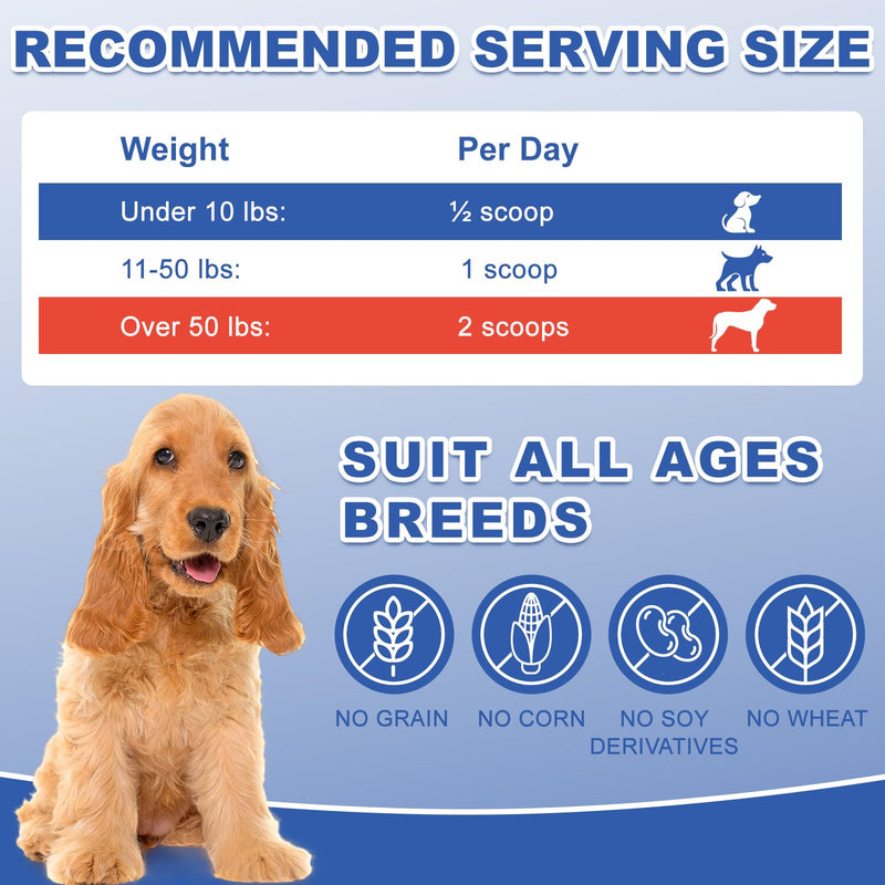 Appetite Stimulant for Dogs & Cats - Vitamin B12 (Methylcobalamin) Powder - Boosts Appetite, Energy, and Mood - 3.5 oz