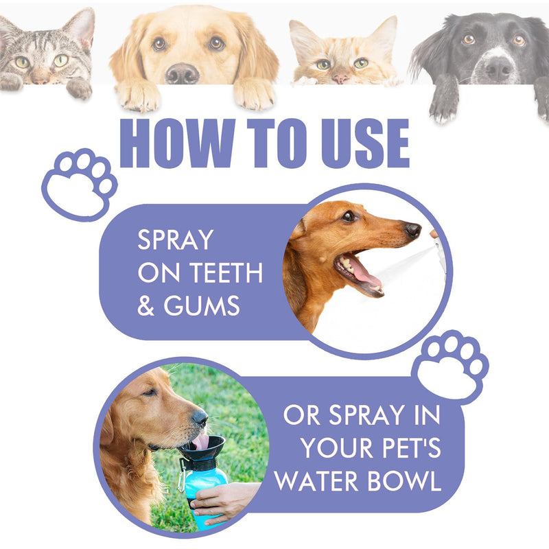 JoanofArc Pet Oral Spray, Teeth Cleaning Spray for Dogs and Cats, Pet Breath Freshener, Reduces Plaque Tartar Buildup, No Brushing, 30ml Each (2pcs)