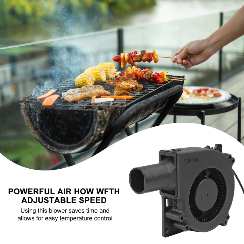 2Set 120mm BBQ Fan 12V Blower Brushless with 110V/120V Variable Speed Controller Fan 4.72in Air Mover Cooling for Camping Quick Charcoal Starter,Outdoor Barbecues,Camping Cooking (2 fan+2 controller) 2pcs-120mm