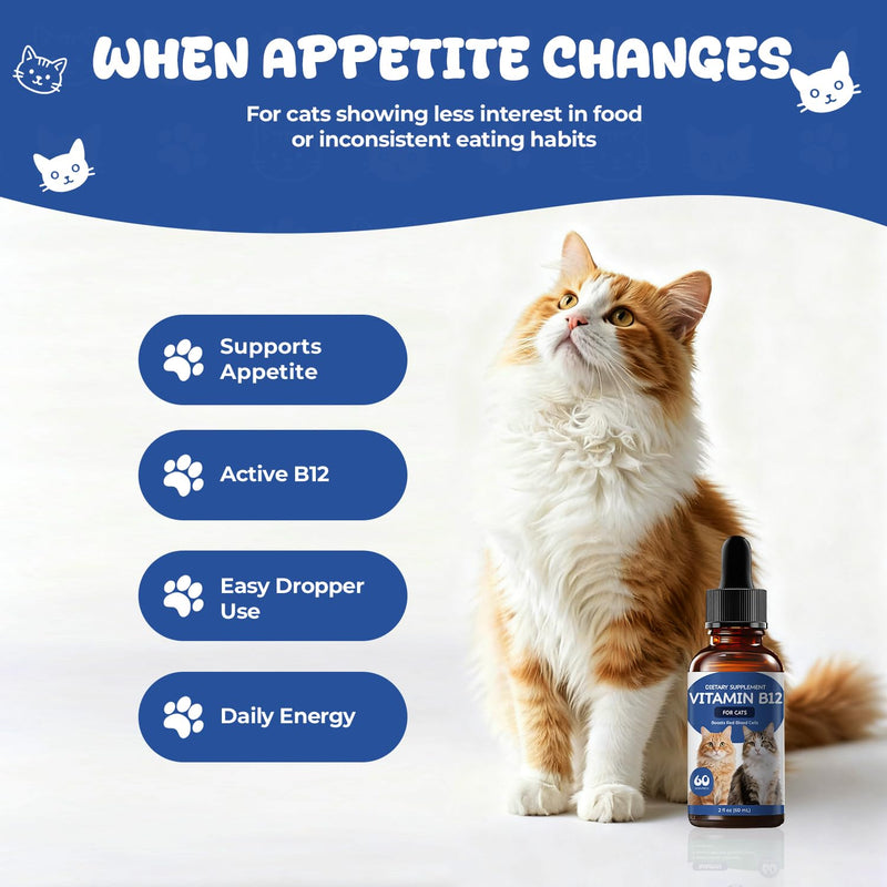 Vitamin B12 Appetite Stimulant Drops for Cats, Methylcobalamin Liquid Cat Supplement for Appetite, Energy & Metabolism Support, Helps Picky or Low-Energy Cats Eat & Thrive, 2 fl oz
