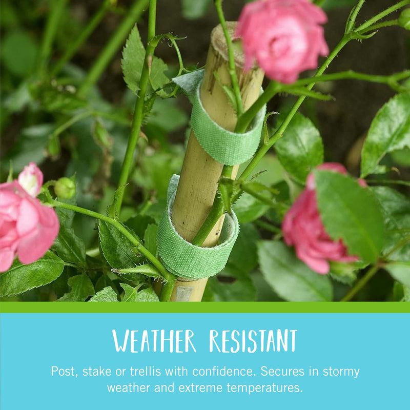 VELCRO Brand VEL-30071-USA ONE-WRAP Garden Ties | Plant Supports for Effective Growing | Strong Grips are Reusable and Adjustable | Cut-to-Length, 50 ft x 1/2 in, Green-Recycled Plastic Green - Recycled Plastic