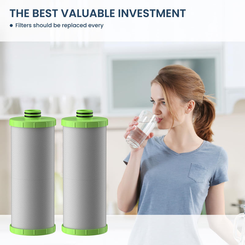 AO-US-200-R Water Filter Replacement Cartridge Compatible with AO Smith Advanced Water Filtration System, 1 Set (2 Counts)