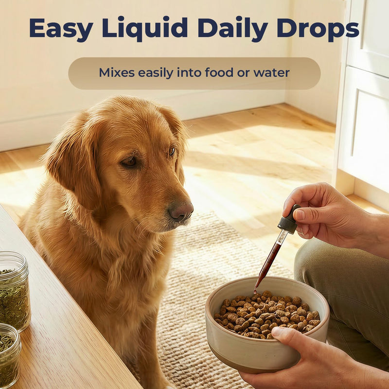 Reishi Mushroom Drops for Dogs, Dog Mushroom Supplement for Immune Support & Daily Wellness, Liquid Reishi Extract for Senior Dogs, Energy, Balance & Long-Term Support, 2 fl oz