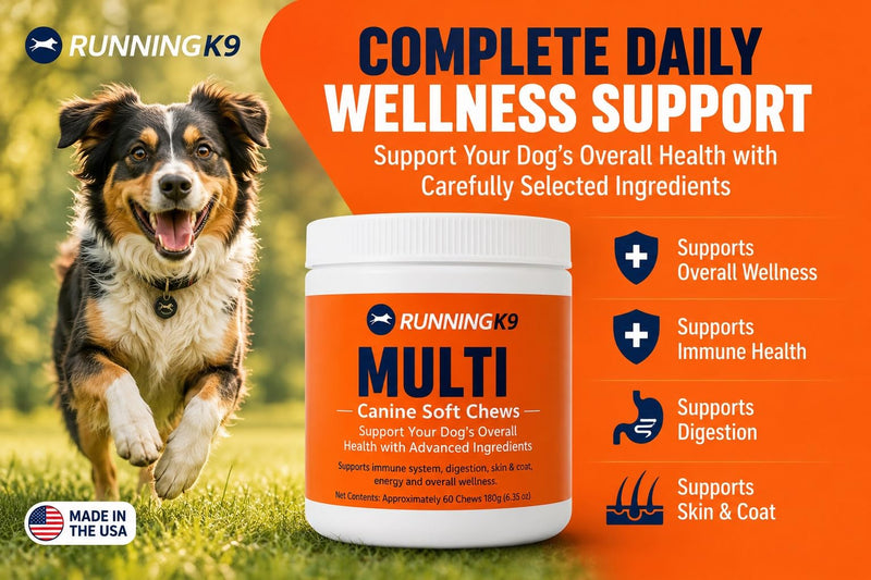 Complete Multi Canine Soft Chews – Dog Multivitamin with Probiotics, Mushrooms, Salmon Oil, Glucosamine & MSM – Immune, Digestive, Skin & Coat Support – 60 Soft Chews