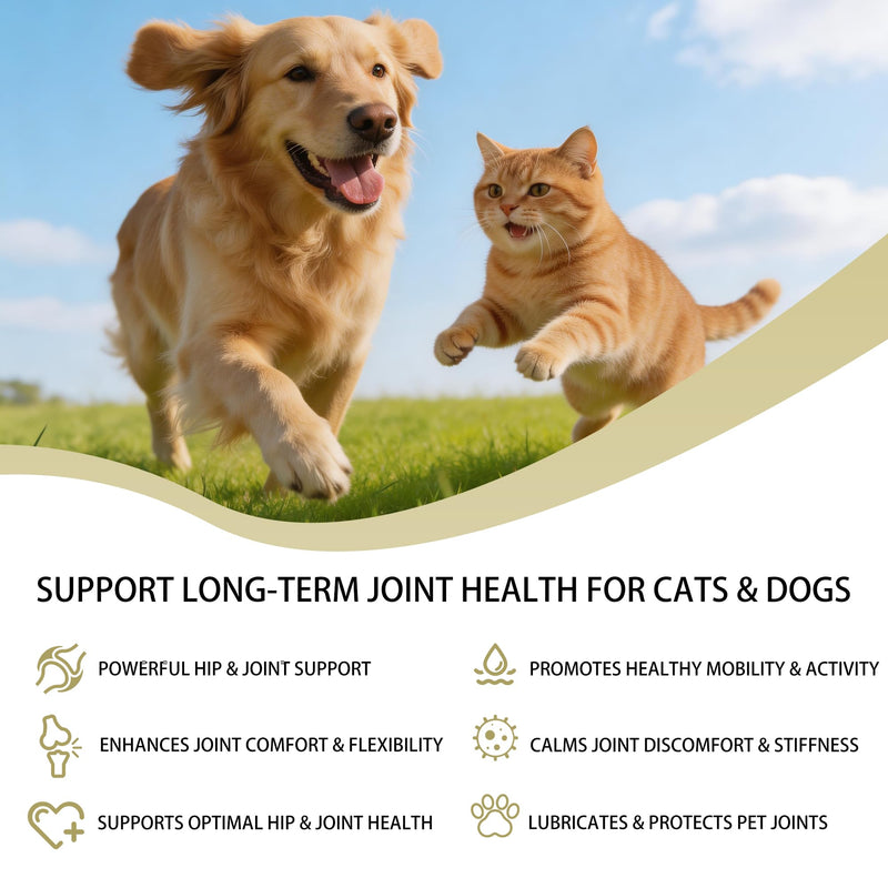 Dr.Bruce Dogs and Cats Hip & Joint Supplement, Chondroitin Sulfate & Calcium Carbonate，Joint Supplement for Cats for Large Breed & Senior Dogs，Relieve Arthritis in Dogs and Cats，140 Chewable Tablets | arthritis relief for dogs,joint supplements for dog...