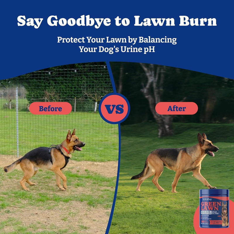 Dog Urine Neutralizer for Lawn - 180 Chews Grass Savers for Dog Urine, Green Grass Dogs Chews with DL-Methionine, Dogs Pee Grass Neutralizer for All Breeds Ages (180ct Green Lawn) 180ct green lawn