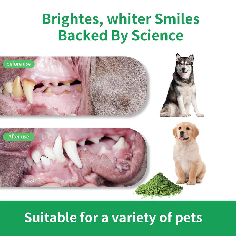 Dog Dental Care Powder Plaqueoff Powder for Pets, Teeth Cleaning Powder for Dogs & Cats Breath Freshener Powder for Bad Breath, Tartar Remover, Plaque Off, and for Rabbit - PawsPlanet Australia