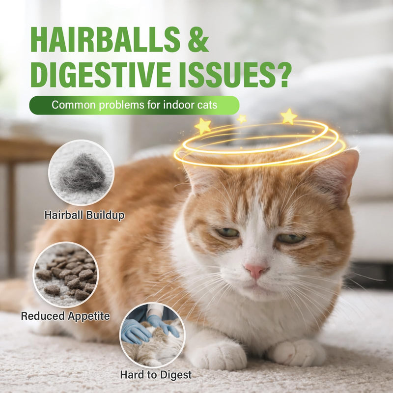 Freeze Dried Cat Grass Treats for Indoor Cats - Chicken & Wheatgrass Dice for Hairball Control & Dental Care, Grain Free High Protein Training Rewards, Digestive Support Cat Snacks (120g)