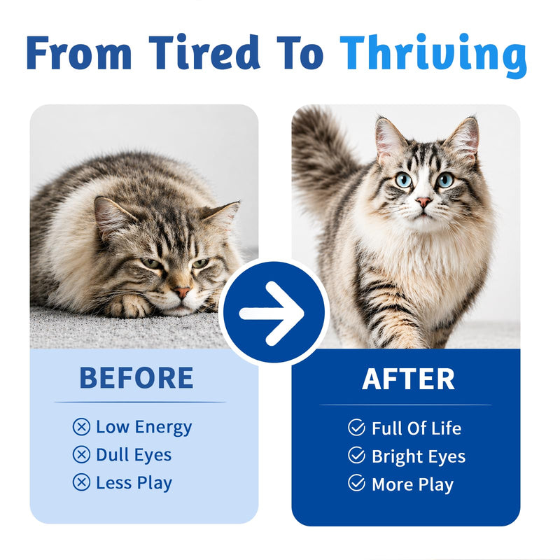 Taurine for Cats Supplement, Pure Cat Taurine Supplement for Heart & Eye Health Support, Immune Boost & Vitality - High Potency 200mg per Tablet - 150 Soft Chewable Delicious Natural Chicken Flavor