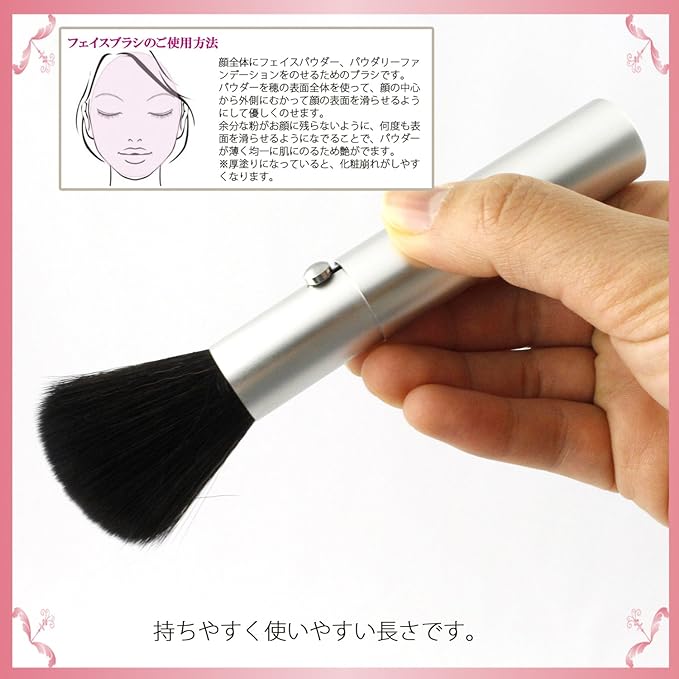 Shishida Seishindo Face Brush Slide Silver - NewNest Australia