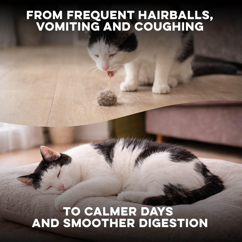 Hairball Treatment for Cats & Stomach Comfort Remedy – Supports Digestive Balance, Natural Elimination & Easy Passage of Hair – Gentle Daily Formula for Adult Cats & Seniors – 400 Tiny Pills
