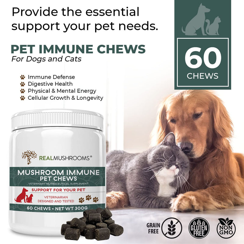 Real Mushrooms Immune Pet Chews (60ct) & Relax Pet Chews (60ct) - Bundle for Immunity, Relaxation & Longevity - Reishi, Lion’s Mane, Ashwagandha, Astragalus & More - Vegan, Non-GMO, Gluten-Free - PawsPlanet Australia