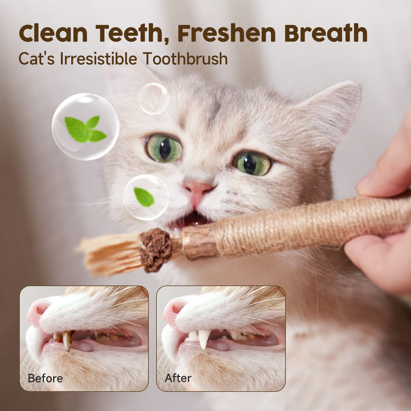 Potaroma 6 Pcs Natural Silvervine Sticks Cat Toys, Catmint Silvervine Blend Sticks, Kittens Chew Toys for Teeth Cleaning, Matatabi Dental Care Cat Treat, Edible Kitty Lick Toys (Pack of 2)
