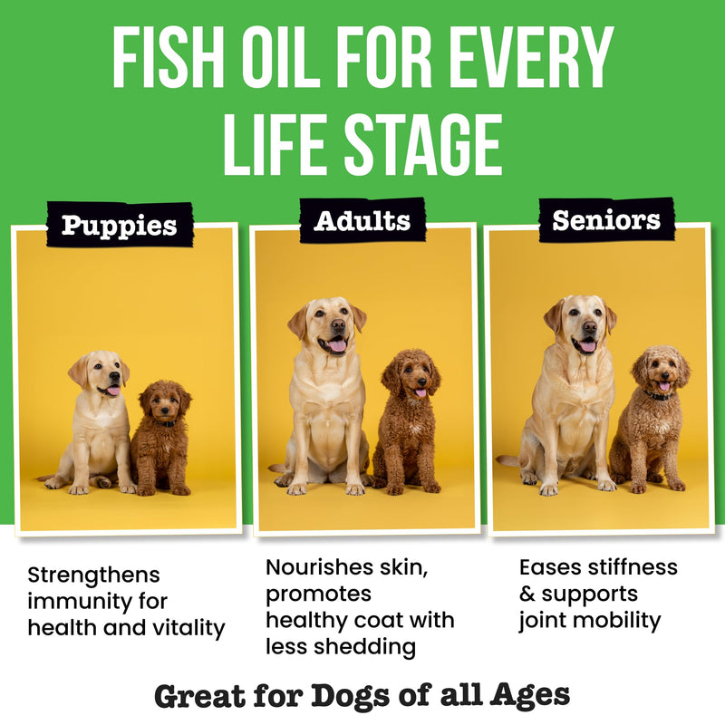 Advanced Dog Probiotics + Omega 3 Fish Oil for Dogs & Cats Bundle - Liquid Fish Oil Supplement - Diarrhea, Gas, Upset Stomach Relief & Season Allergy - Made in USA