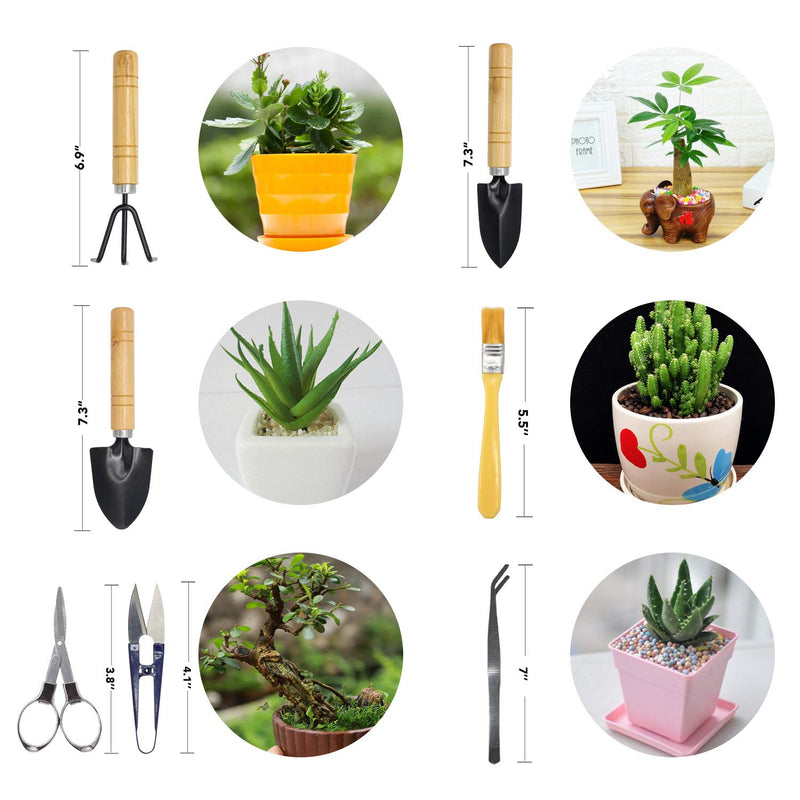 Bonsai Set 8 PCS-Mini Gardening Tools Kit for Indoor Outdoor Bonzai Include Pruner, Fold Scissors, Mini Rake, Tweezers, Cleaning Brush
