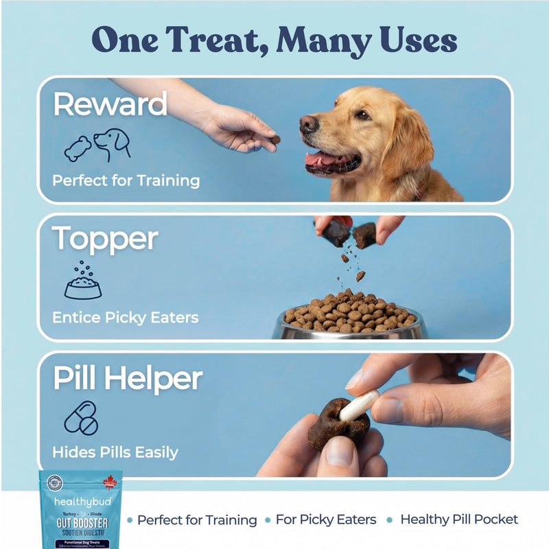 Healthybud Dog Probiotic Chews – Digestive & Gut Health Support – Prebiotic, Fiber, Pumpkin & Sweet Potato – Stool Hardener & Sensitive Stomach Relief – Made in Canada (4.6oz) 4.6 Ounce (Pack of 1)