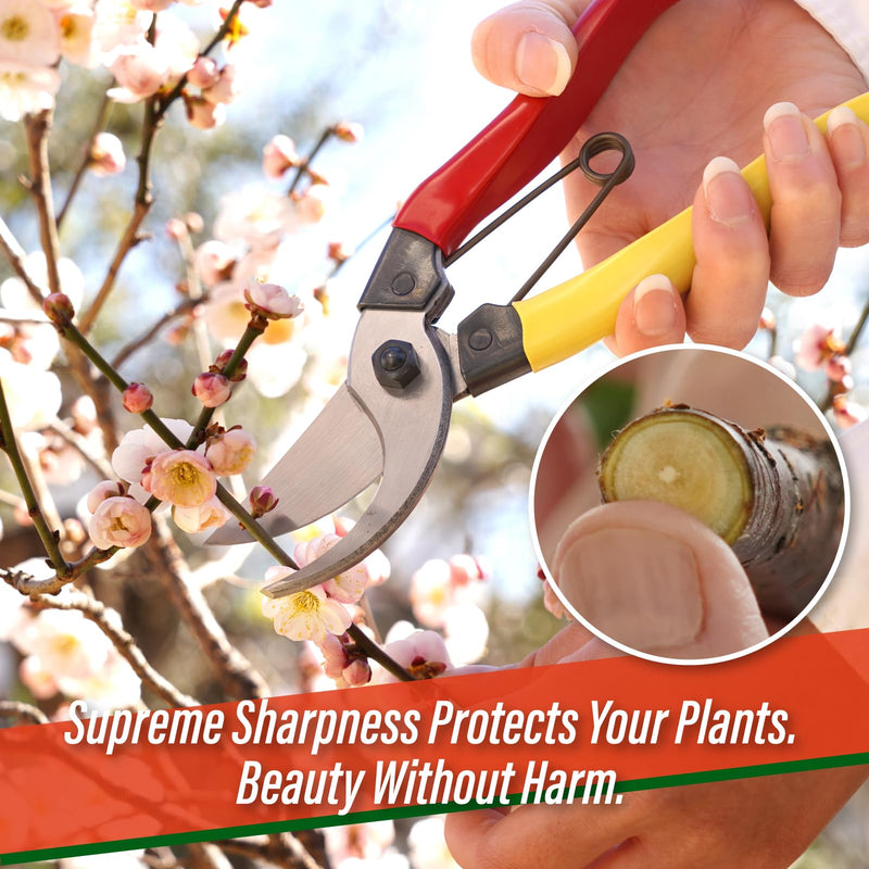SUIZAN Bypass Pruning Shears 8” - Professional Japanese Hand Pruners Garden Scissors Gardening Tools