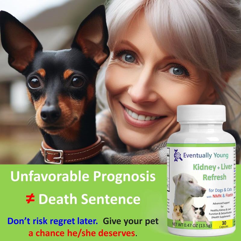 12-in-1 Kidney Support for Dog & Cat with NMN & Fisetin - Super Phosphate Binder Kidney and Liver Supplement for Feline, Canine Healthy Aging & Longevity (60 Capsules) 60 Capsules - PawsPlanet Australia