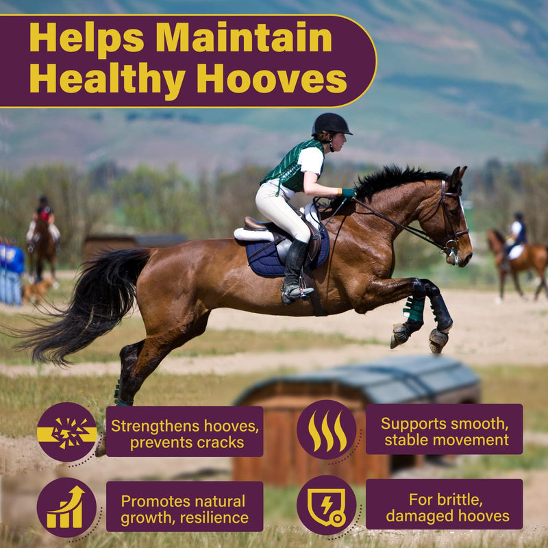 Hoof Supplements for Horses, Horse Supplies, Strengthener with MSM, Horse Health - Supports Strong Hooves and Optimal Growth，Keep Hoof Healthy-150 Chews