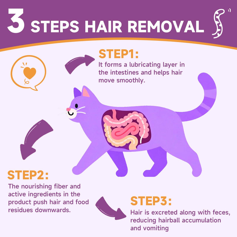 Cat Hairball Remedy - 2 Pack Hairball Treatment for Cats - Digestive Support & Healthy Skin Coat, Furball Control with Psyllium Husk, Flaxseed, Omega-3, Enzyme, Vitamin - Chicken Flavor