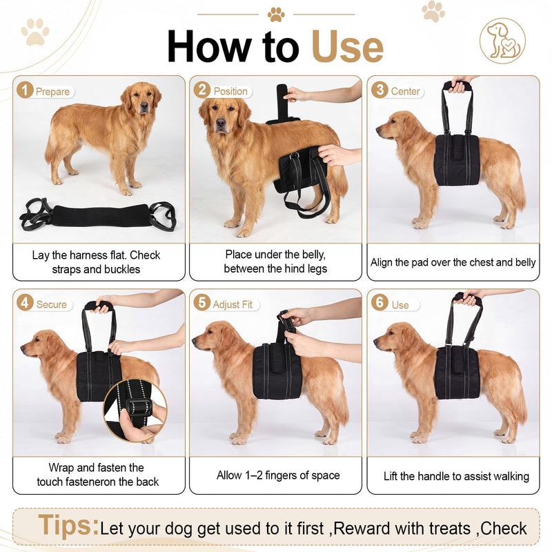 Adjustable Dog Lift Harness Portable Breathable Soft Dog Sling for Back Legs Support Rehab Harness for Summer Weak Rear Legs Senior Injured Disabled After Acl Surgery Pooch(Medium) M