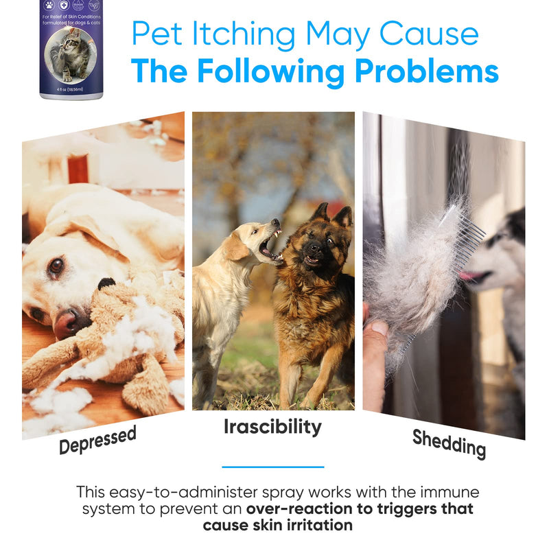 Inscape Data Hot Spot Treatment for Dogs, Itch Relief Spray for Dogs & Cats - Relieves Hot Spots, Rash & Itchy Skin - No-Sting Formula Blue - PawsPlanet Australia