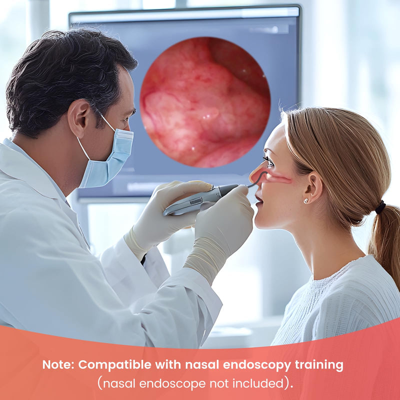 Ultrassist Human Nasal Cavity Anatomy Model - Anatomical Medical Model for Nasal Examination Practise, Human Nasal Model for Medical Teaching, Scientific Research and Display