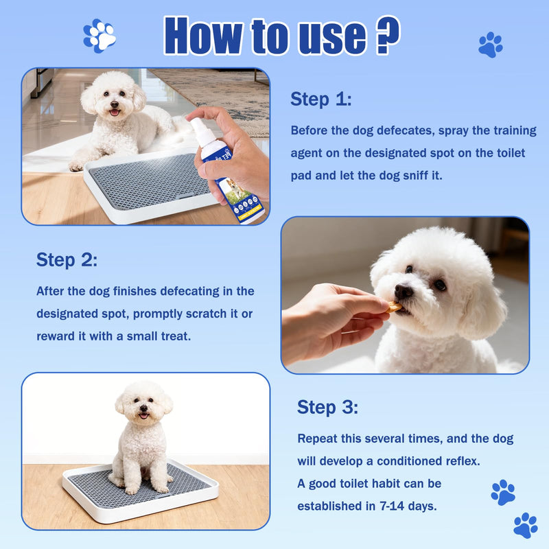 QHZ Potty Training Spray for Dogs – Indoor & Outdoor Use Puppy Toilet Training Aid to Encourage Proper Bathroom Behavior, Helps Stop Accidents & Build Good Habits, 100ML