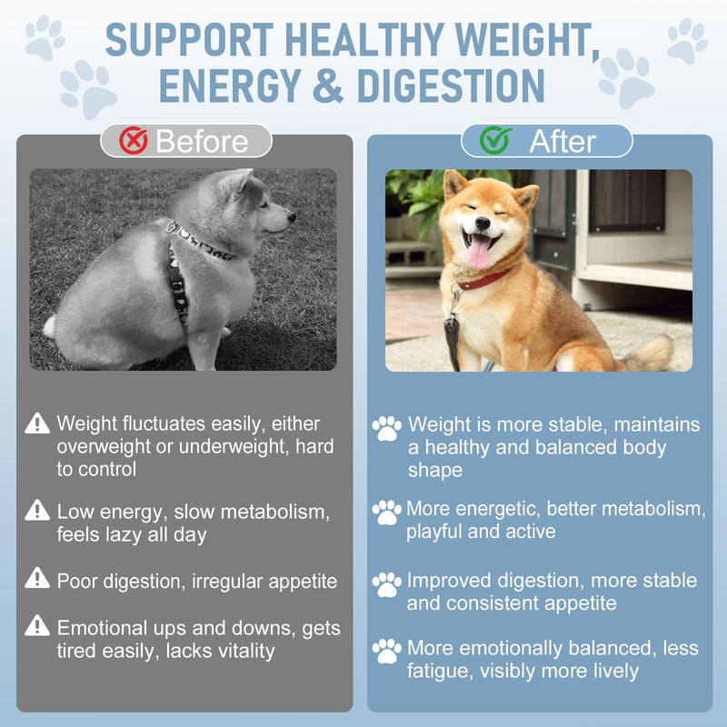 Weight Management Drops for Dogs, Effective Dog Weight Loss Drops, Healthy Weights Nutritional Supplement, Energy Metabolism Support, Weights Loss Pet Food, Natural Solution Hunger Control Supplements