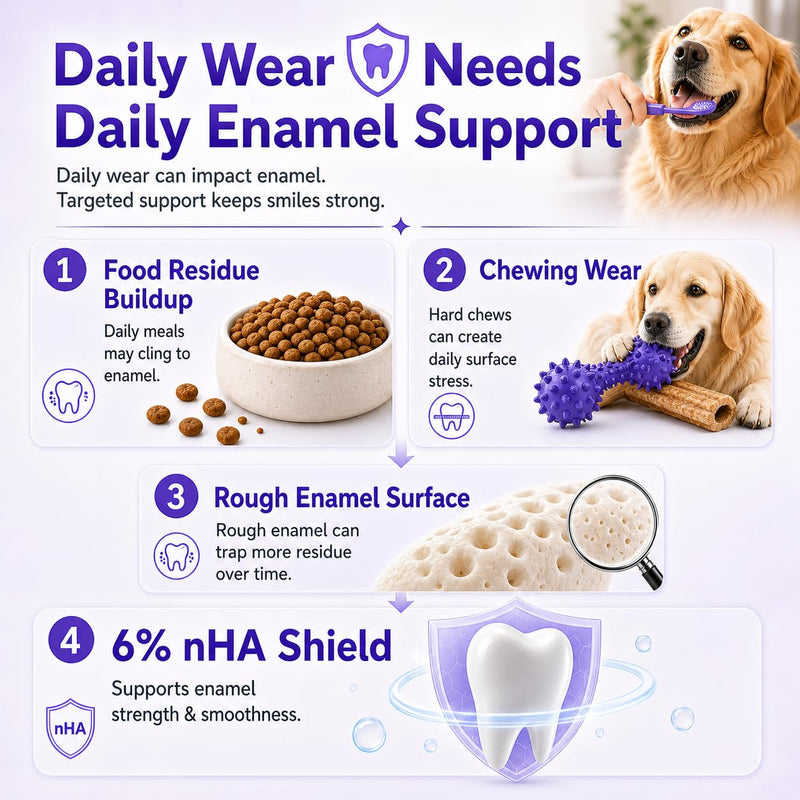 6% nHA Dual-Enzyme Pet Toothpaste for Dogs & Cats, Sensitive Teeth, 3.52oz | Gentle Enamel Care. Gum Comfort. Smooth Brushing Feel. Daily Fresh Breath Support. 3.52 Ounce (Pack of 1)
