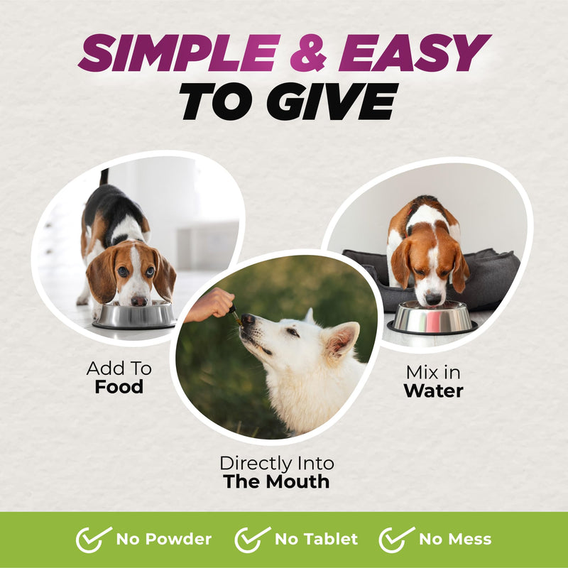 Natural Dewormer for Dogs | 100% Natural | Contains 3 Medicinal Herbs | Supports Intestinal & Gut Health | Gentle & Effective Formula - PawsPlanet Australia