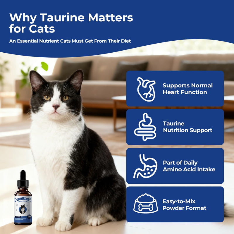Taurine Supplement for Cats Liquid Drops – Essential Taurine for Heart Health, Vision & Immune Support, Easy-to-Mix Daily Feline Nutrition Supplement