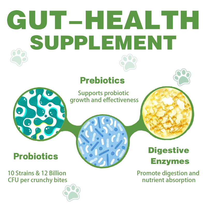 Probiotics for Dogs - 180 Dog Probiotics Chews with 5 Enzymes & 4 Prebiotics for Digestive and Gut Health - Diarrhea & Bowel Support, Yeast Balance, Immunity, Allergies & Itchy Skin (Chicken) Chicken