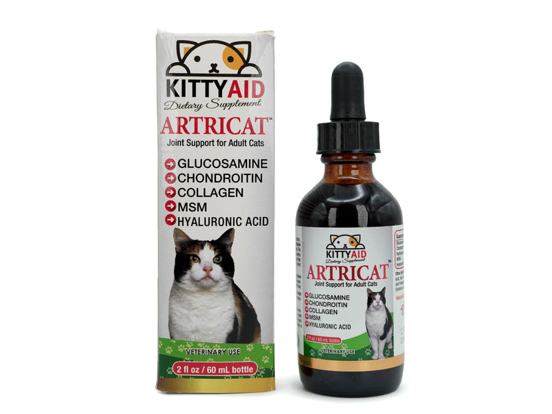 Artricat Dietary Supplement by Interfarma Corp | Cartilage Protection, Reduce Inflammation, & Joint Support for Cats | with Glucosamine, Collagen, & Hyaluronic Acid | Pineapple Flavor, Drops. SINGLE