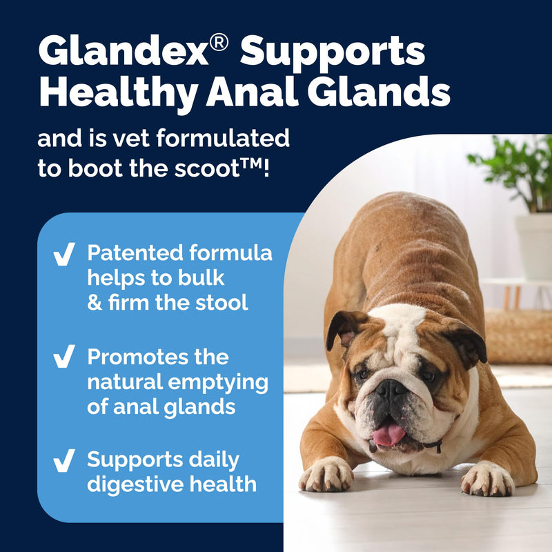 Glandex Anal Gland Soft Chews for Dogs (Peanut Butter, 60ct) + YuMOVE Advanced Strength Hip & Joint Supplement (90ct) | Digestive & Mobility Bundle