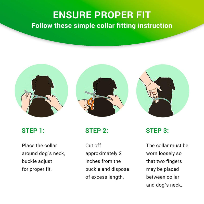 SOBAKEN Flea and Tick Prevention for Dogs, 1 Size Fits All, 25 Inch, Natural and Hypoallergenic Collar, 8 Month Protection, 2 Pack - PawsPlanet Australia
