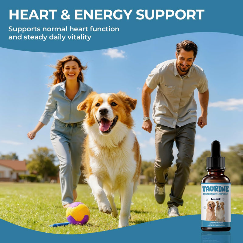 Taurine Supplement for Dogs Liquid Drops, Dog Taurine with Coenzyme Q10 & L-Carnitine, Supports Heart Function, Energy & Daily Vitality, 2 fl oz 60 ml (Pack of 1)